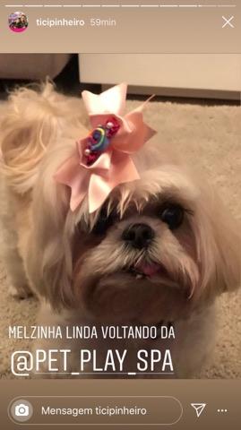 Cachorrinha de Ticiane Pinheiro