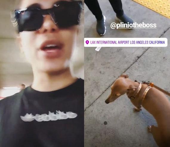 Anitta e Plínio 