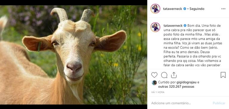 Tatá Werneck posta foto de animal para falar da filha