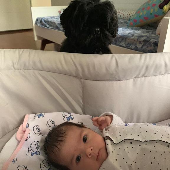 Tata Werneck encanta fãs ao exibir Clarinha com cachorro