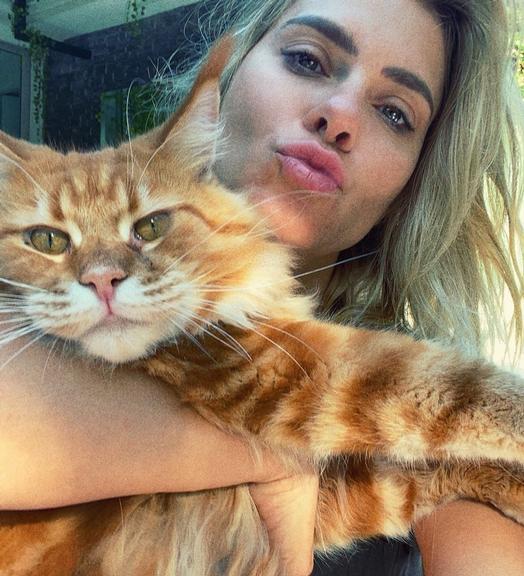 Carolina Dieckmann compartilha clique com seu gatinho e comemora lei que defende os animais