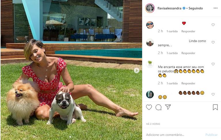 Flávia Alessandra com seus cachorros