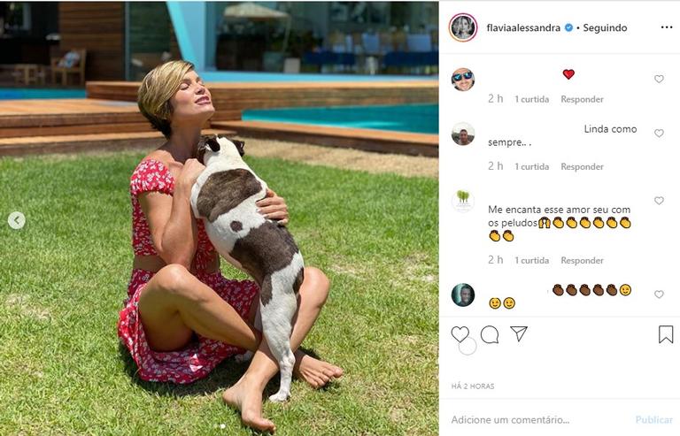 Flávia Alessandra com seus cachorros