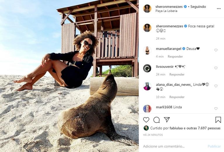 Sheron Menezzes encontra uma foca na praia e brinca na web