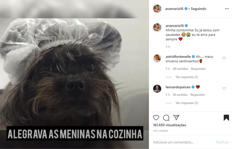 Ana Maria Braga lamenta morte de sua cachorrinha