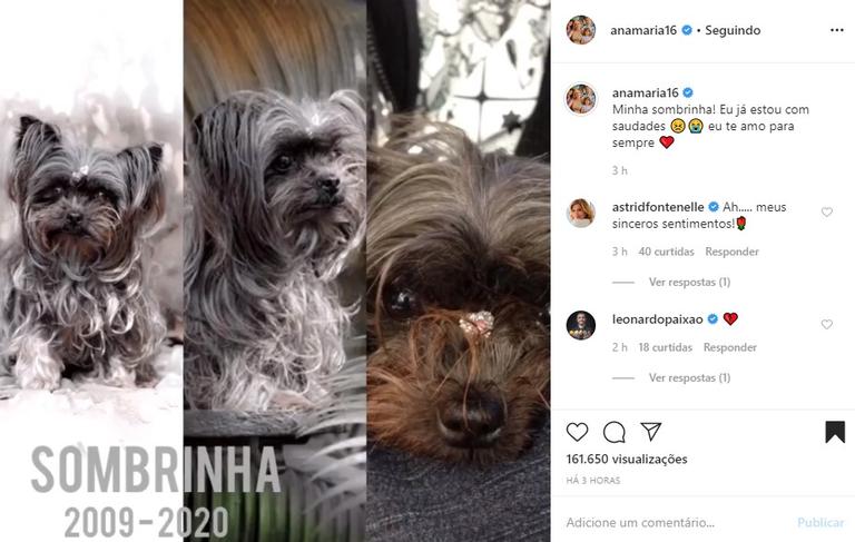 Ana Maria Braga lamenta morte de sua cachorrinha