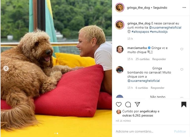 Xuxa Meneghel com cachorrinha de Angélica