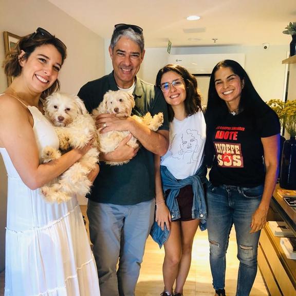 William Bonner e a esposa, Natasha Dantas, adotam casal de cachorros