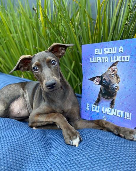 Lucas Lucco conta história da cachorrinha