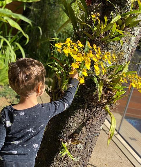 Thais Fersoza faz reflexão sobre o coronavírus