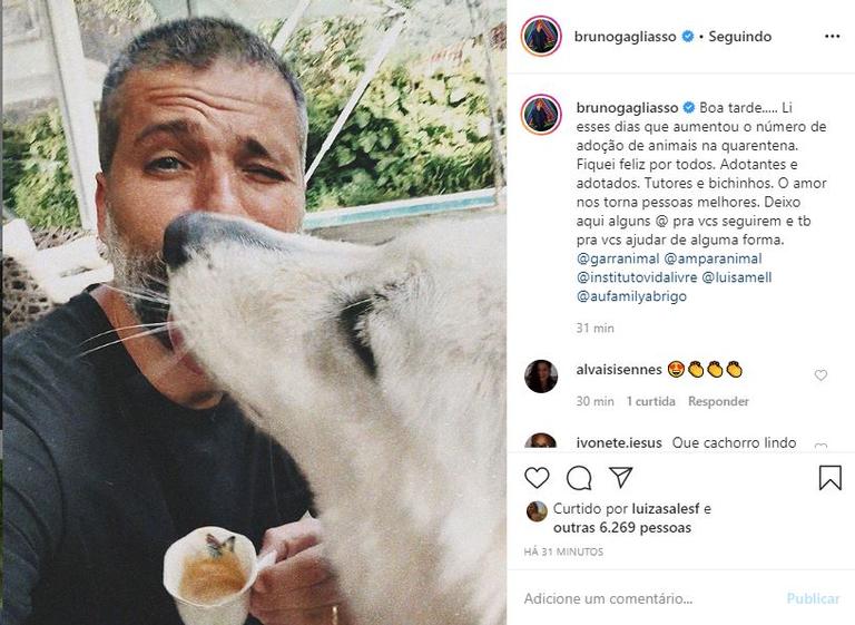 Bruno Gagliasso celebra crescimento do número de adoções de animais