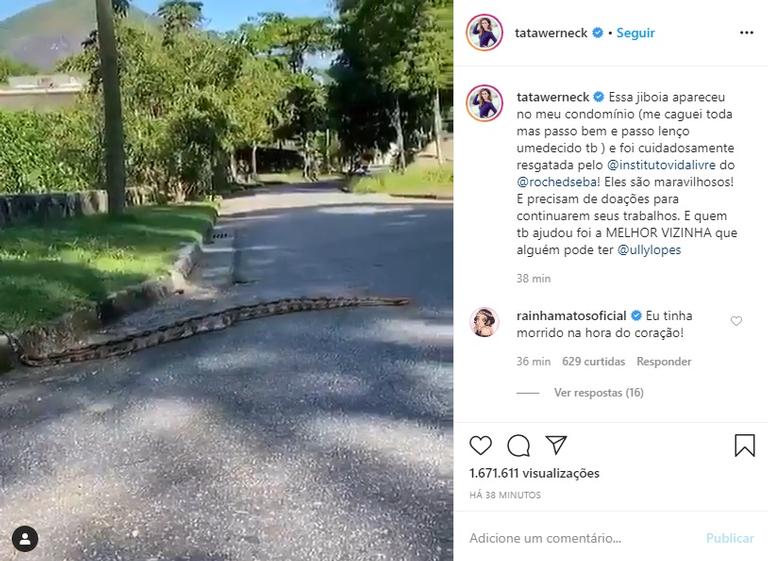  Tatá Werneck flagra cobra enorme na rua de seu condomínio