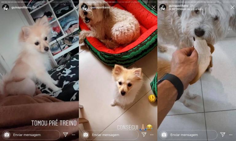 Antes de treinar, Guilherme Napolitano se diverte com cachorros 