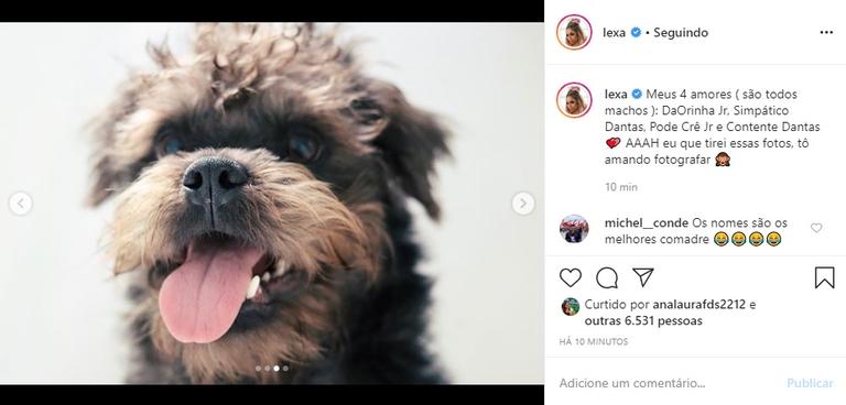 Lexa apresenta seus cachorros para os internautas e encanta