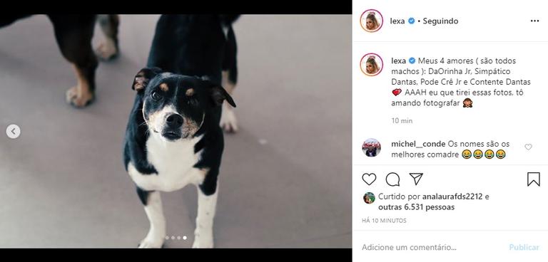 Lexa apresenta seus cachorros para os internautas e encanta