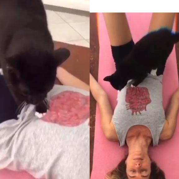 Leticia Spiller surge interagindo com gatinho ao compartilhar cliques feitos por seu amado, Pablo Vares 