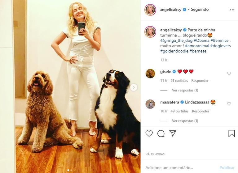 Angélica com seu cachorros