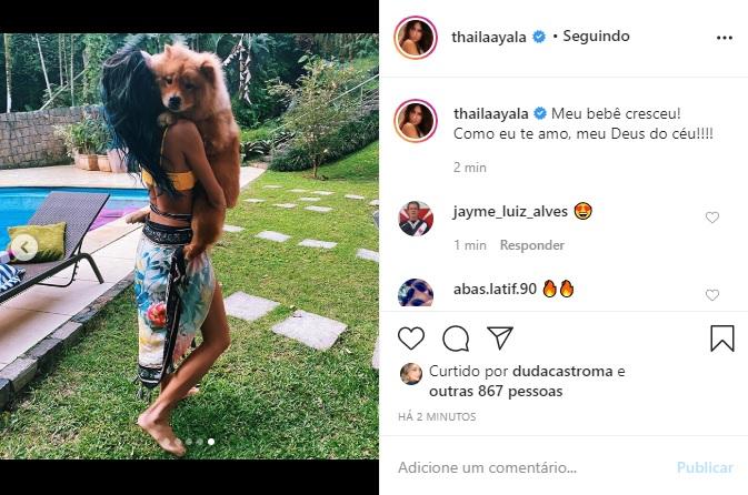 Thaila Ayala derrete a web ao surgir segurando seu cachorro