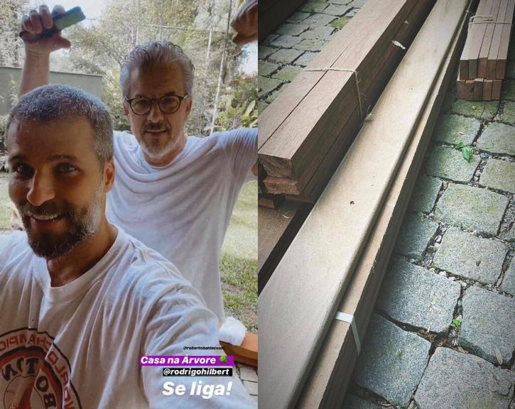 Bruno Gagliasso revela que vai construir uma casa na árvore