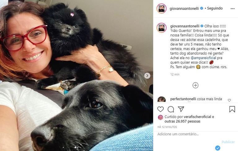 Giovanna Antonelli anuncia novo membro da família e encanta