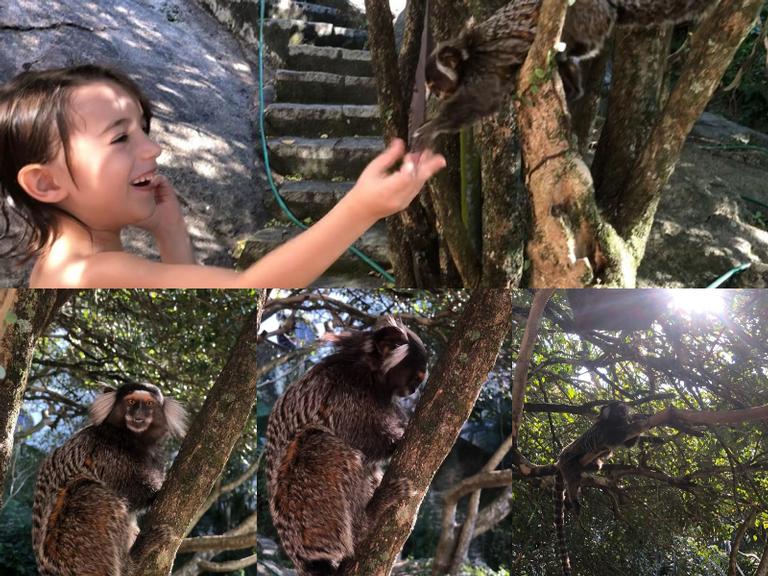 Alinne Moraes exibe lindo animal selvagem ao trazer um pouco da natureza para suas redes