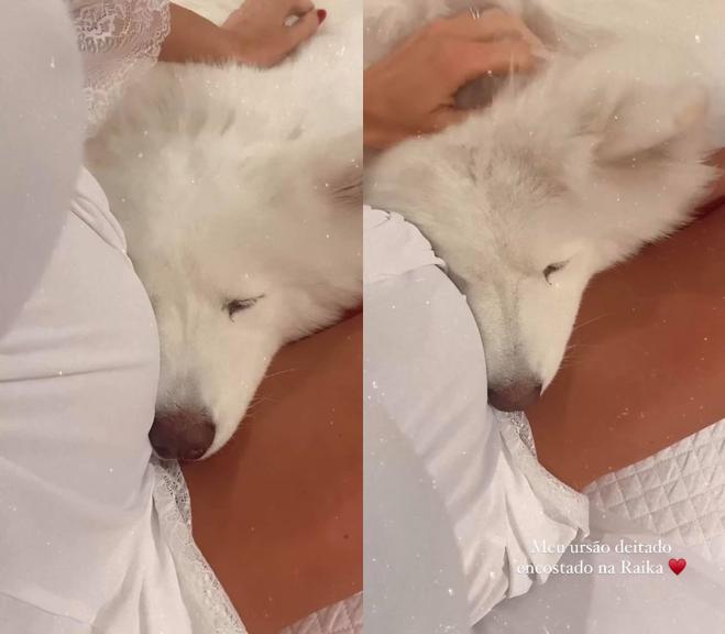 Romana Novais flagra momento fofo com o seu cachorro