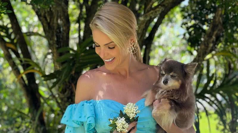 Ana Hickmann lamenta morte de cachorrinha - Foto: Reprodução/Instagram