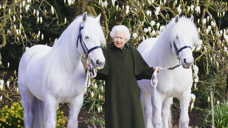 A Família Real publicou uma foto de um dos pôneis da Rainha, chamado Emma - Foto: Hanry Dallal