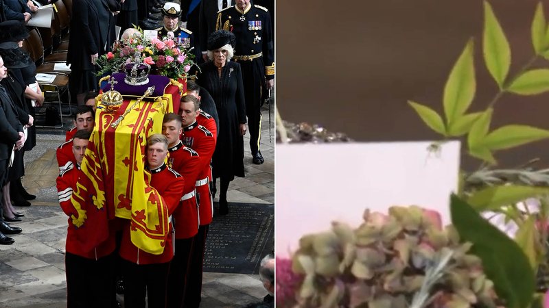 Aranha é vista no caixão da Rainha Elizabeth II durante o funeral - Fotos: Getty Images e Reprodução / BBC