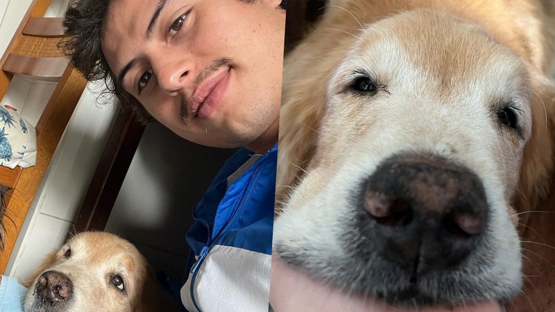 Francisco Vitti lamenta morte de companheiro canino, Simba, em texto emocionante - Foto/Instagram