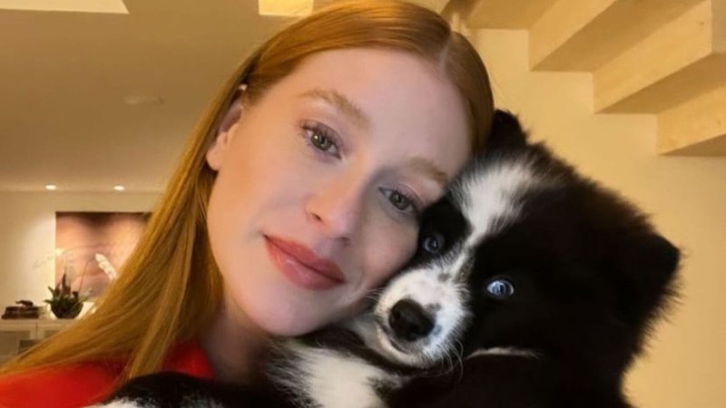 Marina Ruy Barbosa posou com seu pet em selfie - Reprodução: Instagram