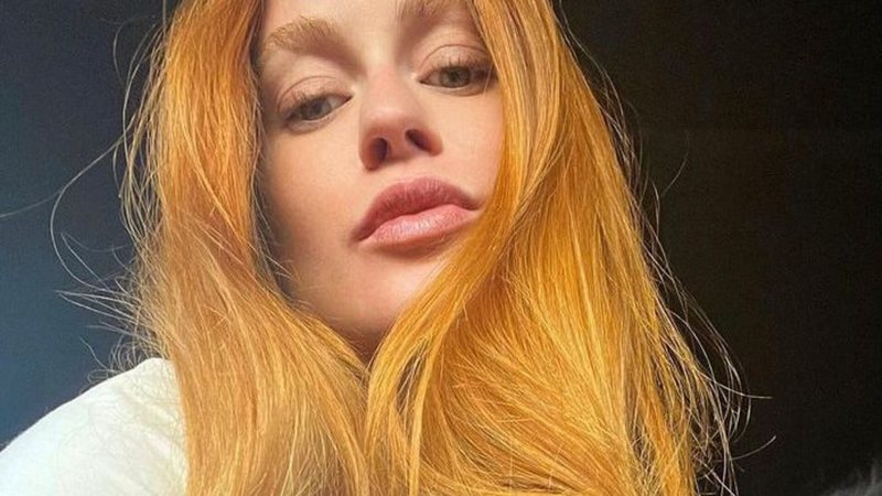 Marina Ruy Barbosa posou com seu pet no carro - Reprodução: Instagram