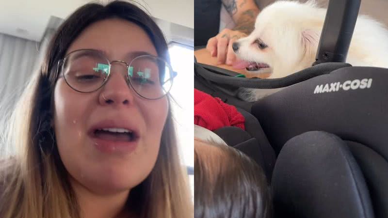 Viih Tube se emociona com encontro de Lua e a cachorrinha da família - Reprodução/Instagram