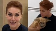 Ana Hickmann e cachorro - Foto: Reprodução/Instagram