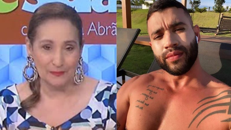 Sonia Abrão detona Gusttavo Lima - Foto: reprodução/Instagram