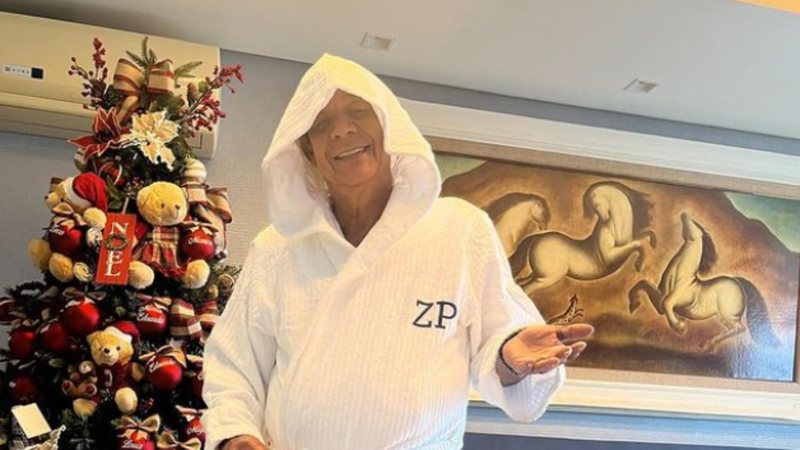 Sambista Zeca Pagodinho adota visual diferentão para tentar combater o frio do verão ao desmontar decoração de Natal - Foto: Reprodução / Instagram