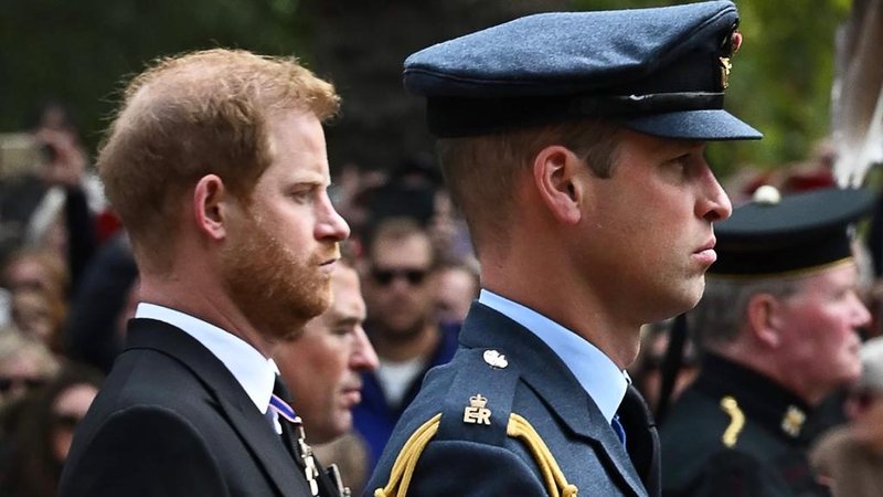 Harry e William - Foto: Getty Images