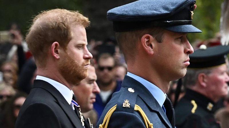 Harry e William - Foto: Getty Images