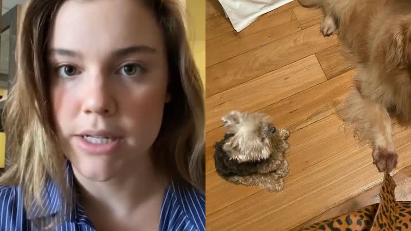 Alice Wegmann se despede de pet com homenagem emocionante - Reprodução/Instagram