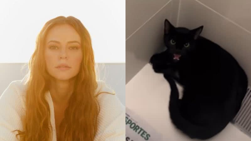 Atriz Paolla Oliveira mostra animal bravo se adaptando à casa nova - Foto: Reprodução / Instagram