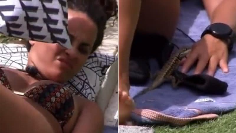 BBB 23: Lagarto invade o reality show e dá um susto em Domitila - Foto: Reprodução / Globo