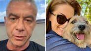 "Preguiça desse vira-lata": Alexandre Correa fez críticas ao cachorro que salvou Ana Hickmann - Reprodução/ Instagram