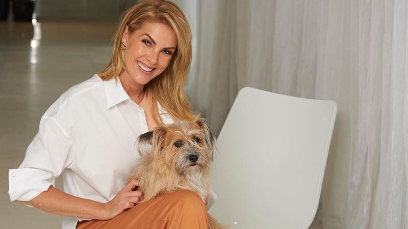 Ana Hickmann mostra foto com seus cachorros - Reprodução/Instagram