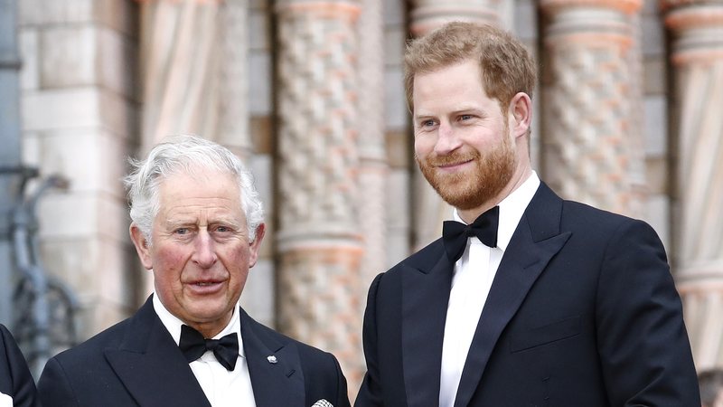 Especialista deu detalhes sobre a relação entre o Rei Chales III e seu filho mais novo, Harry - Foto: Getty Images