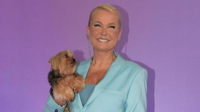 Xuxa é a protagonista de Uma Fada Veio Me Visitar - Foto: Blad Meneghel