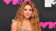 Shakira - Getty Images