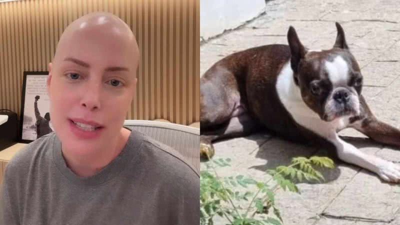 Fabiana Justus revela onde estão suas cachorrinhas - Reprodução/Instagram