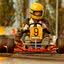 Em 1978, ele conquistou o título do Campeonato Brasileiro de Kart