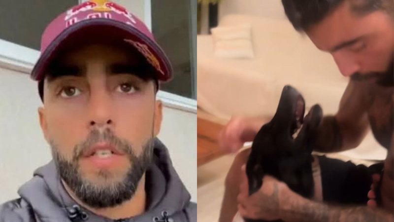 Pedro Scooby fala sobre cachorro resgatado no RS - Reprodução/Instagram