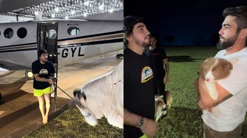 Nattan recupera pets após sequestro e tenta levar vacas dos amigos - Reprodução/Instagram